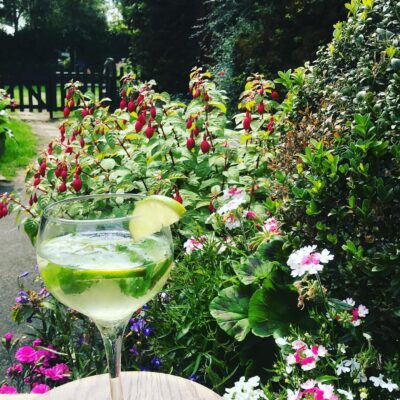Elderflower