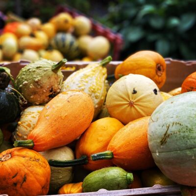 Squashes