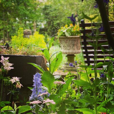 Through the garden