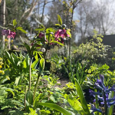 Enchanted Garden